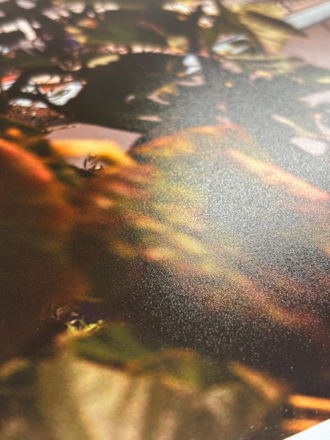 Prints - Large Format