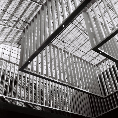 Fomapan 100 120 B&W film – Mori Film Lab