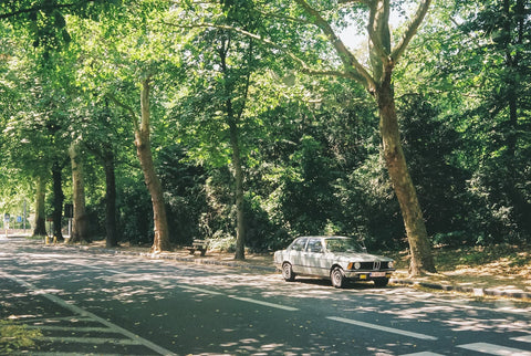 Fujifilm Finepix S4200 Sample Images Sample Fuji Finepix S4800