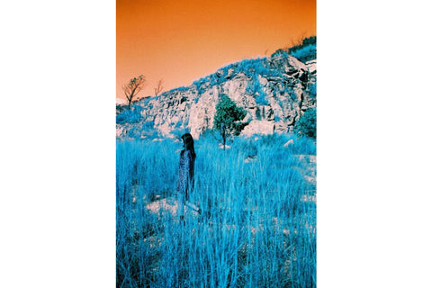 LomoChrome Turquoise 100-400 35mm film