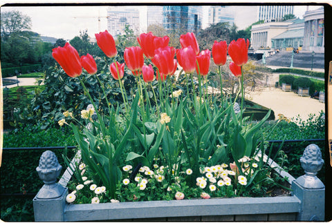 Kodak Ultramax 400 Pellicule 35mm simple pellicules