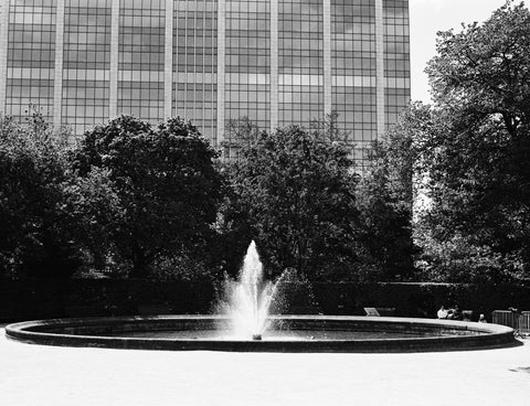 Ilford XP2 Super 400 N&B C41 pellicule 120