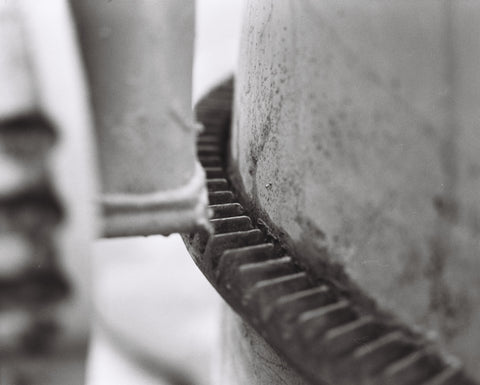 Fomapan 400 120 B&W film – Mori Film Lab1